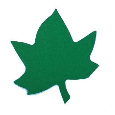 Maple leaf